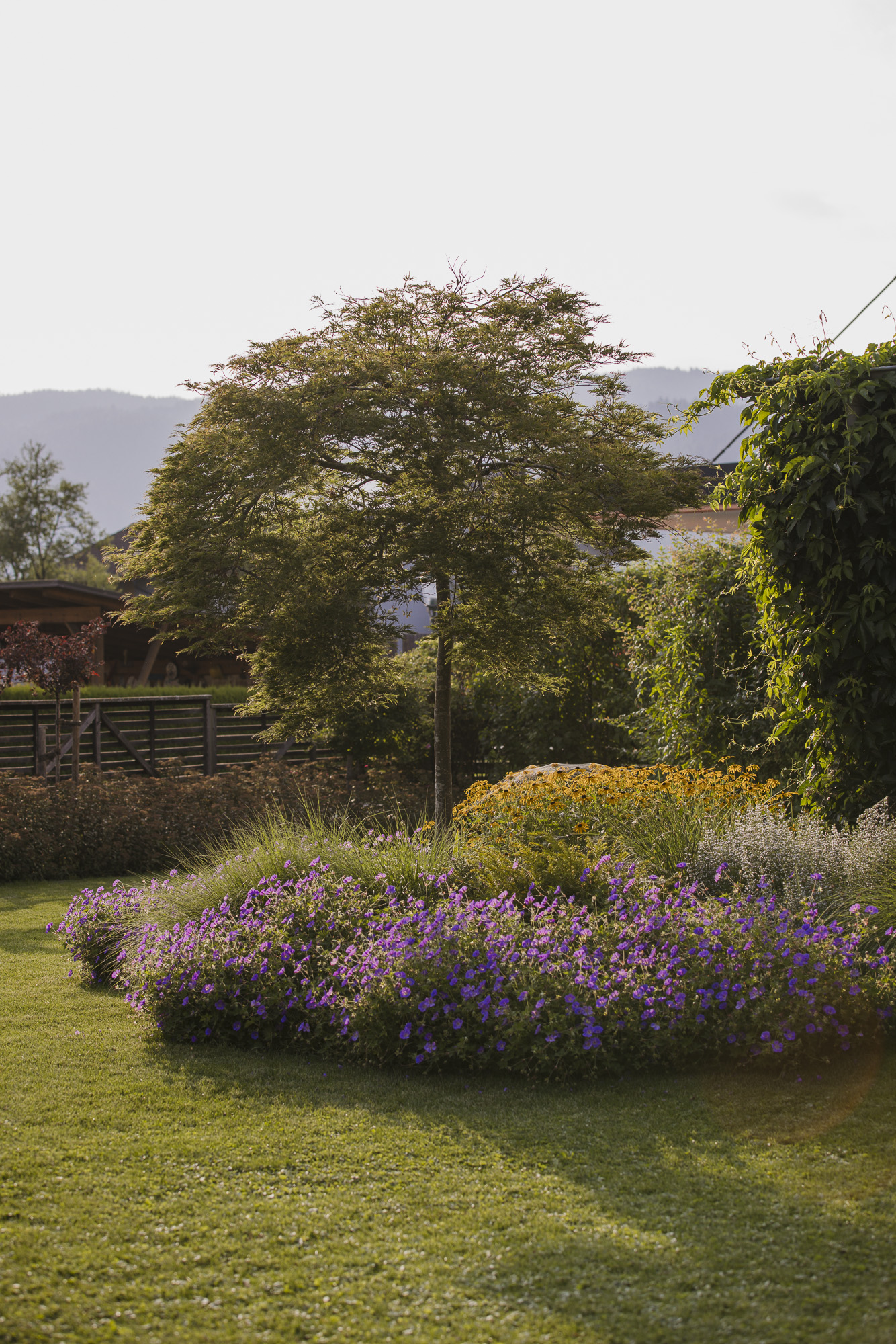 Zwischen Sonnenhut und Schattenplatz